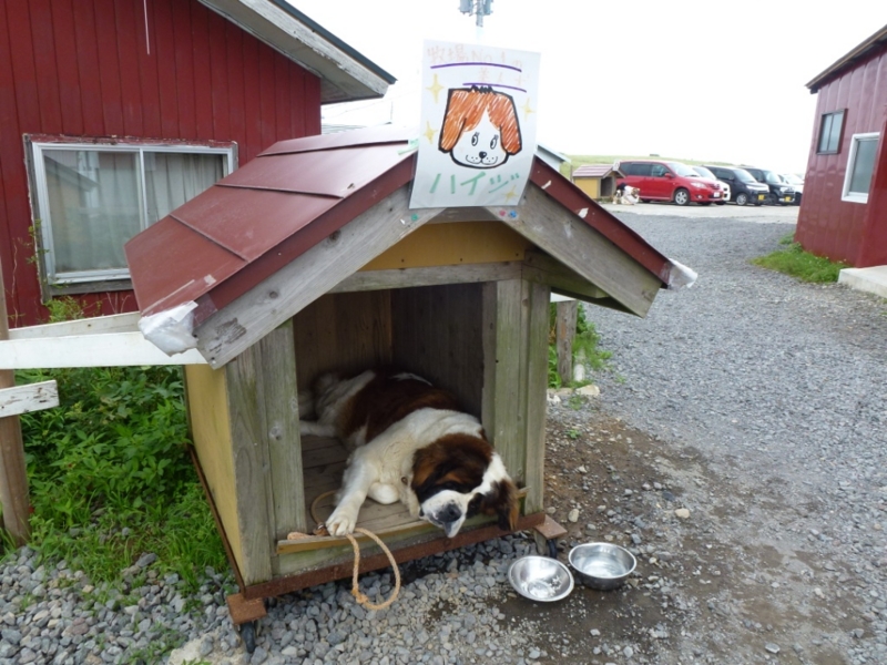 f:id:GSX-R1000:20120709110926j:image:w640