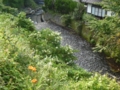 f:id:GSX-R1000:20120730171522j:image:medium