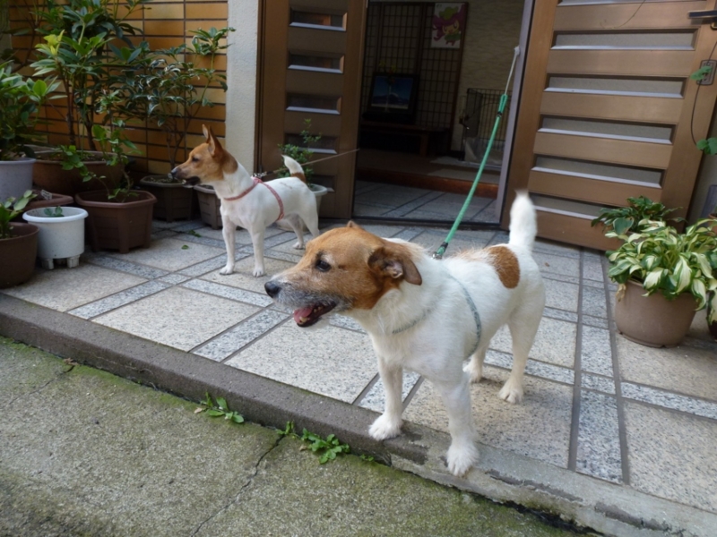 f:id:GSX-R1000:20120730172708j:image:w640