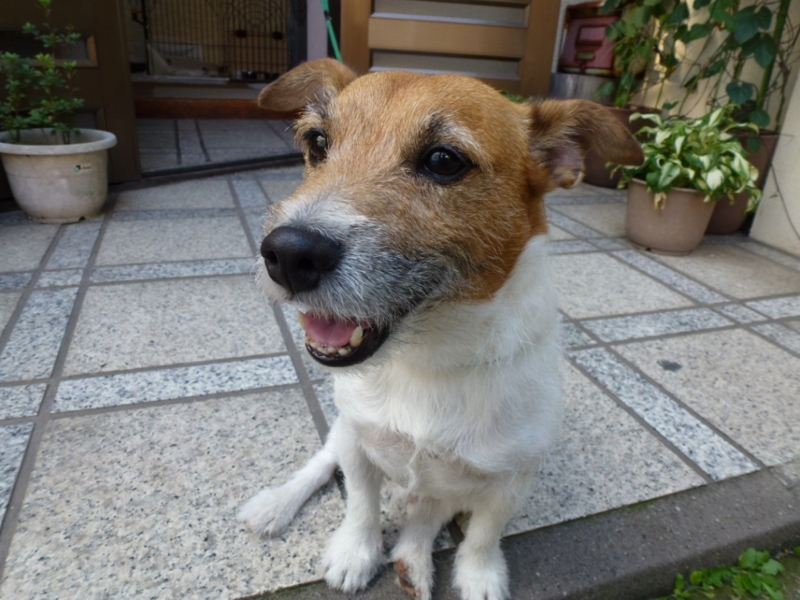 f:id:GSX-R1000:20120730172805j:image:w640
