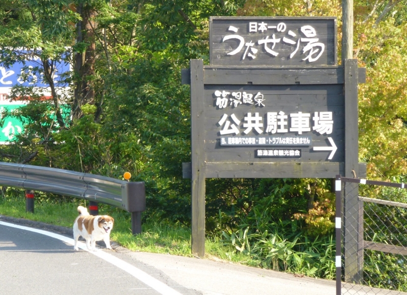 f:id:GSX-R1000:20120731203818j:image:w640