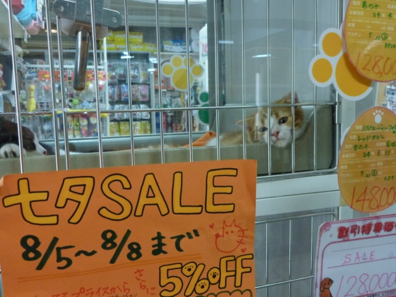 f:id:GSX-R1000:20120808193414j:image:w640