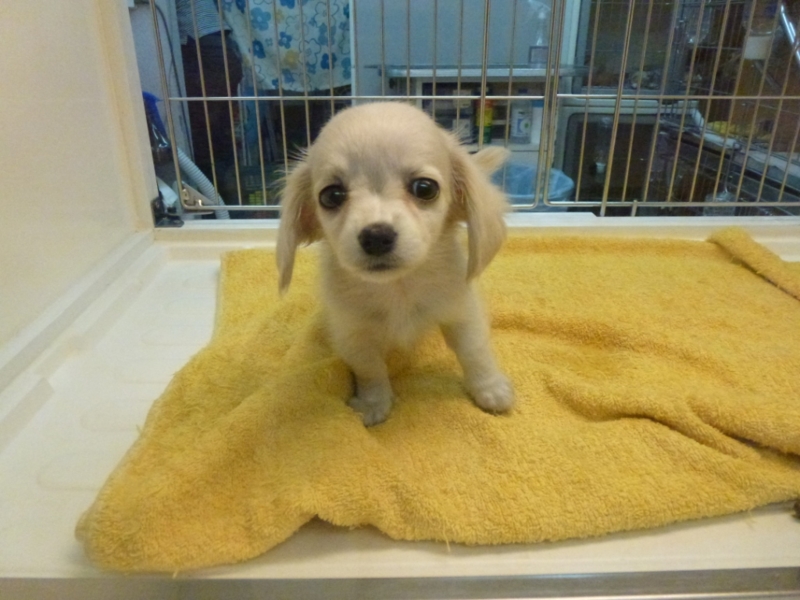 f:id:GSX-R1000:20120808193419j:image:w640