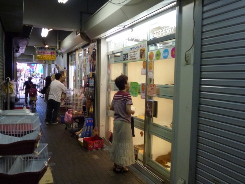 f:id:GSX-R1000:20120808193421j:image:w640