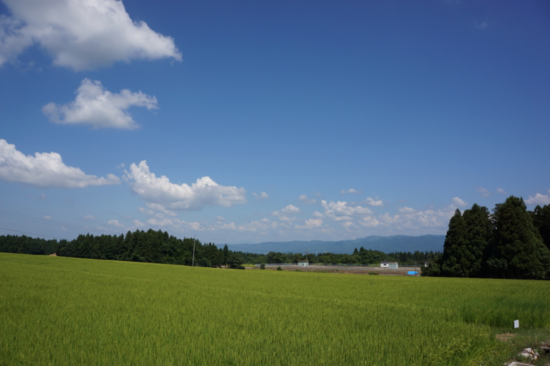 f:id:GSX-R1000:20120820180839j:image:w640