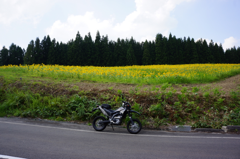 f:id:GSX-R1000:20120830192051j:image:w640
