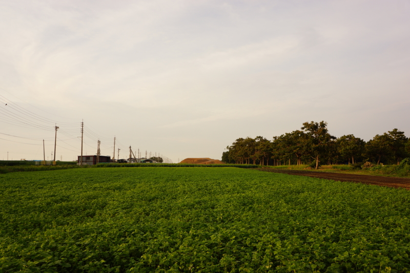 f:id:GSX-R1000:20120910161154j:image:w640