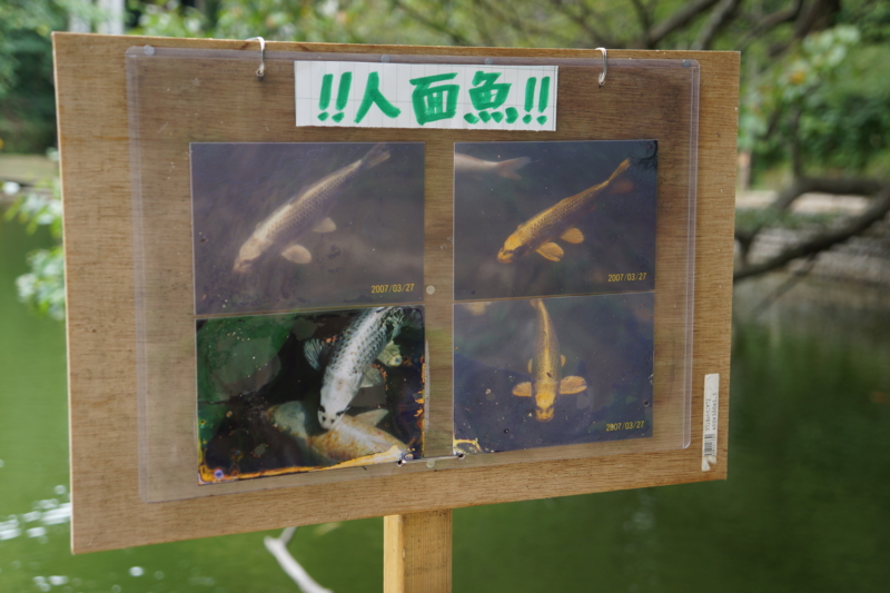 f:id:GSX-R1000:20120912180136j:image:w640