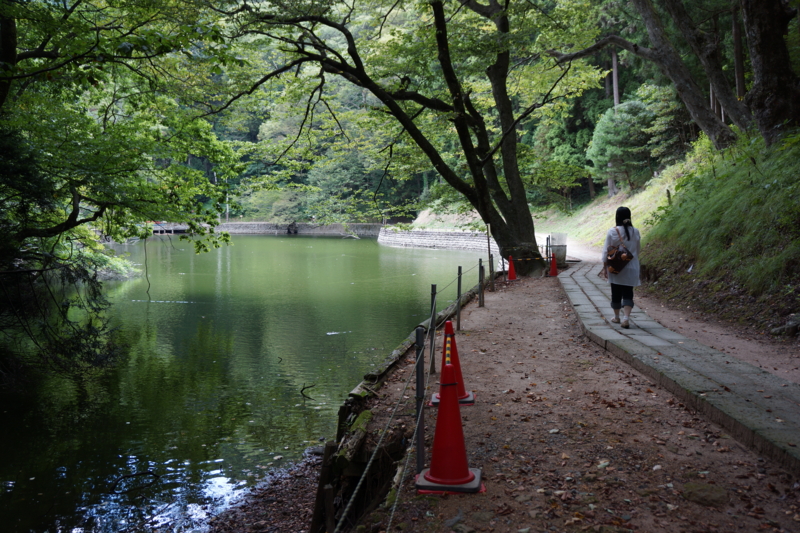 f:id:GSX-R1000:20120912180305j:image:w640