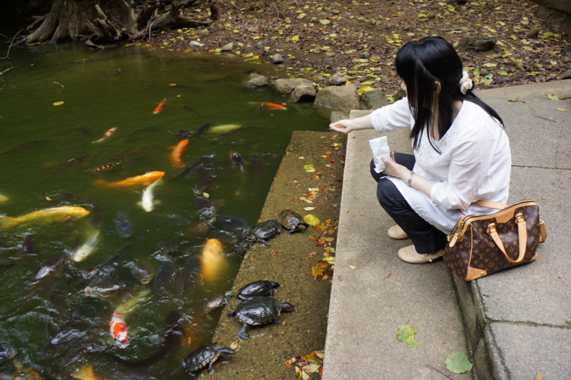 f:id:GSX-R1000:20120912180812j:image:w640
