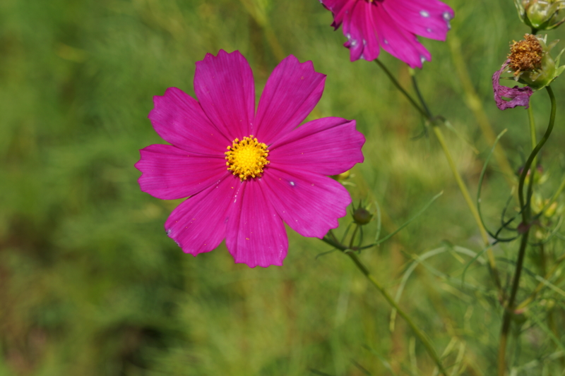 f:id:GSX-R1000:20120916204733j:image:w300