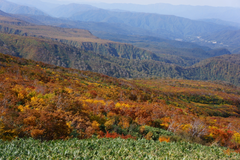 f:id:GSX-R1000:20121017190700j:image:w640