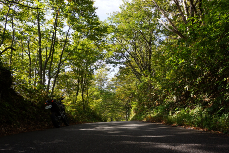 f:id:GSX-R1000:20121017190731j:image:w640