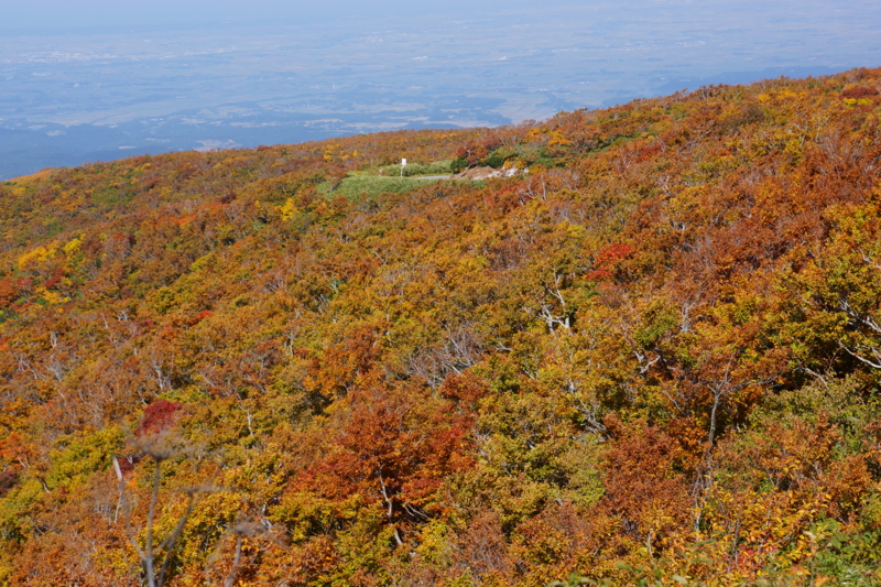 f:id:GSX-R1000:20121017204213j:image:w640