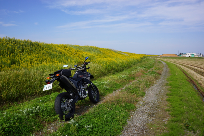 f:id:GSX-R1000:20121017204515j:image:w640
