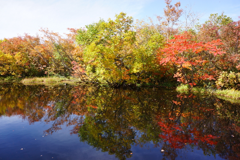 f:id:GSX-R1000:20121017204622j:image:w640