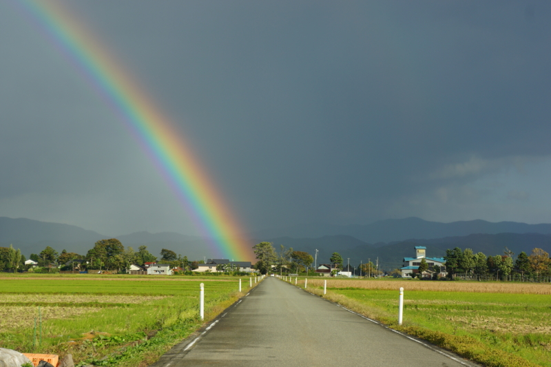 f:id:GSX-R1000:20121019181027j:image:w640