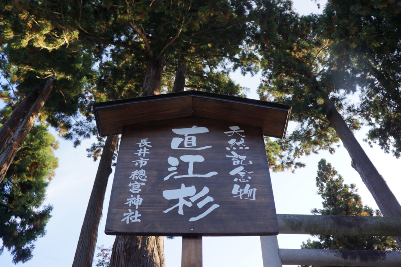 f:id:GSX-R1000:20121029220554j:image:w640 f:id:GSX-R1000:20121029220554j:image:w640