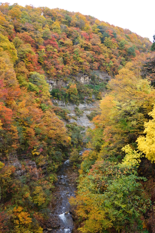 f:id:GSX-R1000:20121104151926j:image:w640 f:id:GSX-R1000:20121104151926j:image:w640