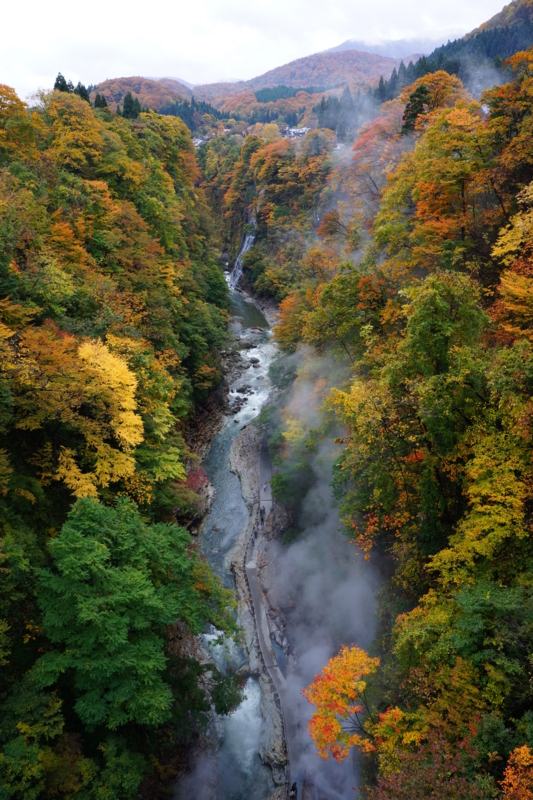 f:id:GSX-R1000:20121104152432j:image:w640 f:id:GSX-R1000:20121104152432j:image:w640