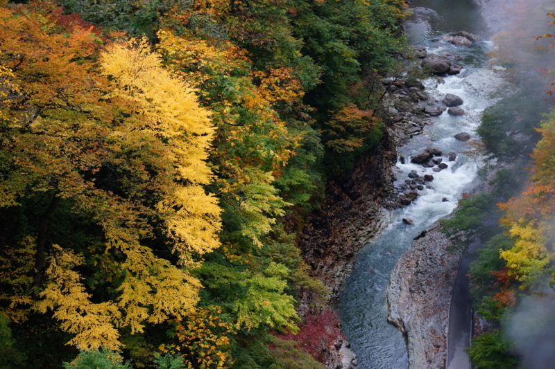 f:id:GSX-R1000:20121104152510j:image:w640 f:id:GSX-R1000:20121104152510j:image:w640