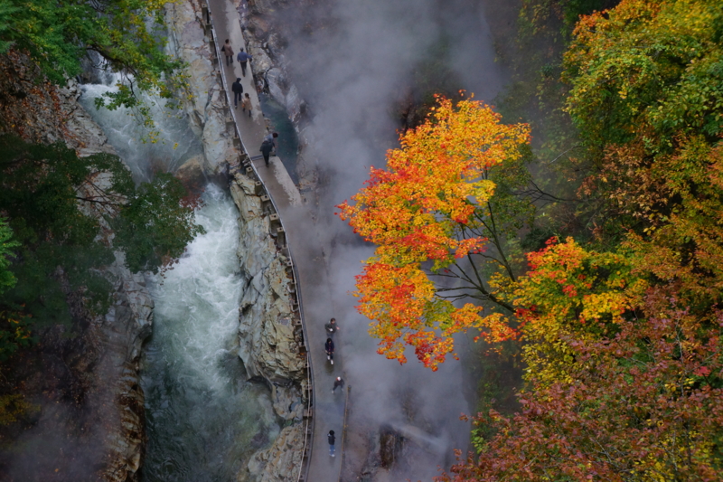 f:id:GSX-R1000:20121104152544j:image:w640 f:id:GSX-R1000:20121104152544j:image:w640