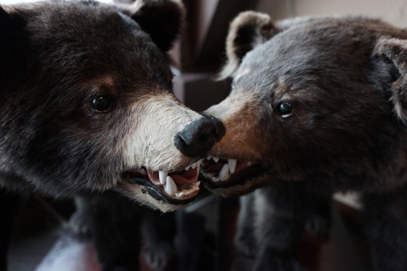 f:id:GSX-R1000:20121104153645j:image:w640 f:id:GSX-R1000:20121104153645j:image:w640