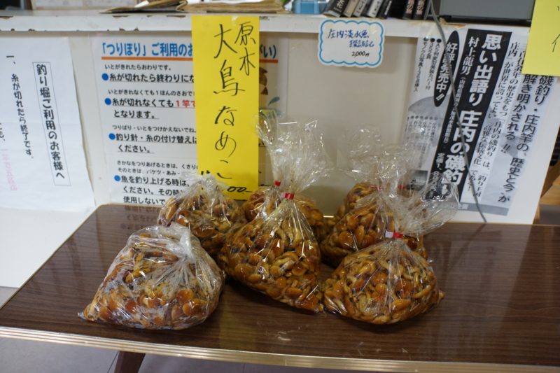 f:id:GSX-R1000:20121107223824j:image:w640 f:id:GSX-R1000:20121107223824j:image:w640