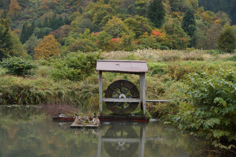 f:id:GSX-R1000:20121107224726j:image:w640