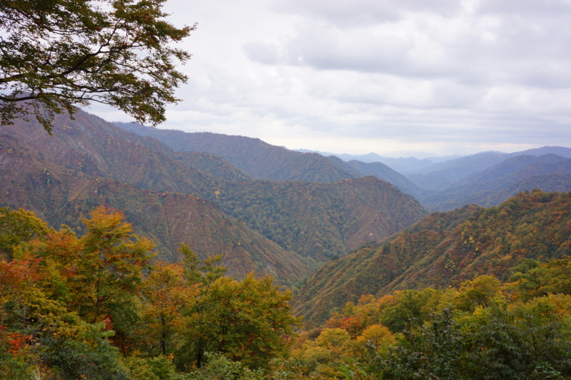 f:id:GSX-R1000:20121107225026j:image:w640 f:id:GSX-R1000:20121107225026j:image:w640