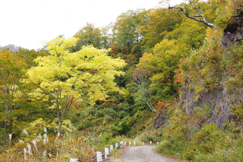 f:id:GSX-R1000:20121107225057j:image:w640 f:id:GSX-R1000:20121107225057j:image:w640