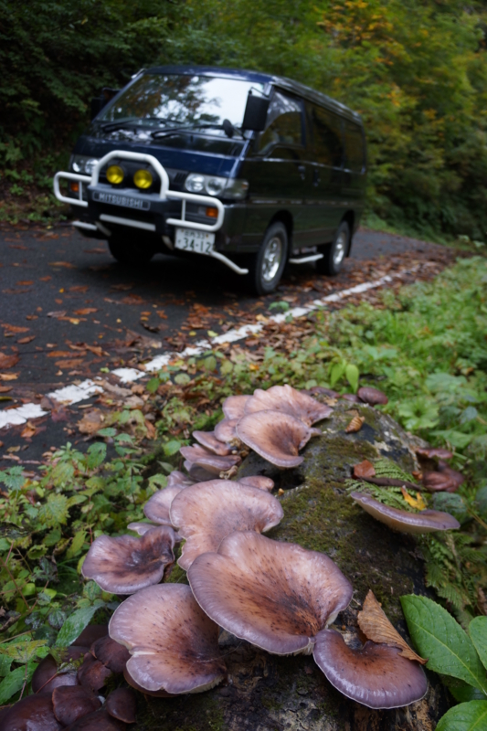 f:id:GSX-R1000:20121107225552j:image:w640 f:id:GSX-R1000:20121107225552j:image:w640