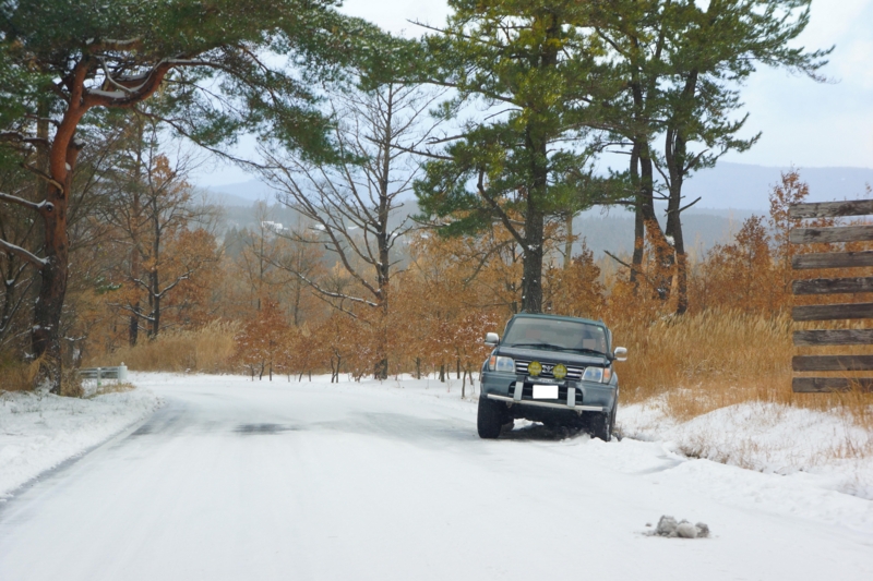 f:id:GSX-R1000:20121210102901j:image:w640