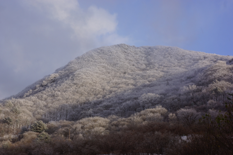 f:id:GSX-R1000:20121210102958j:image:w640