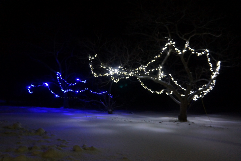 f:id:GSX-R1000:20130101205723j:image:w640