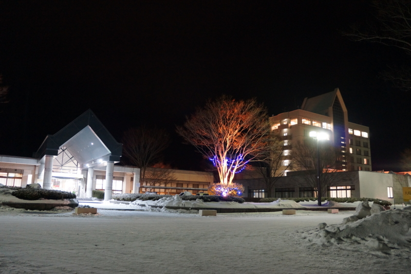 f:id:GSX-R1000:20130101205956j:image:w640