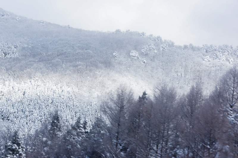 f:id:GSX-R1000:20130120172956j:image:w640