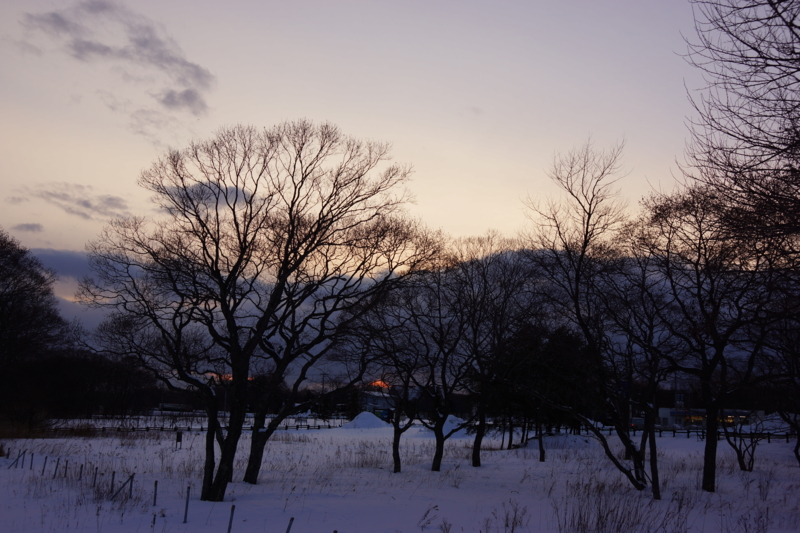 f:id:GSX-R1000:20130301223947j:image:w640 f:id:GSX-R1000:20130301223947j:image:w640