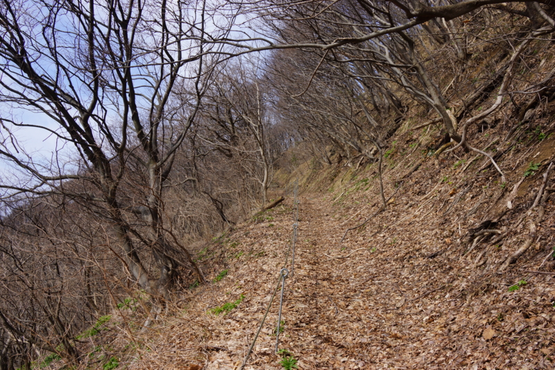 f:id:GSX-R1000:20130324220612j:image:w640