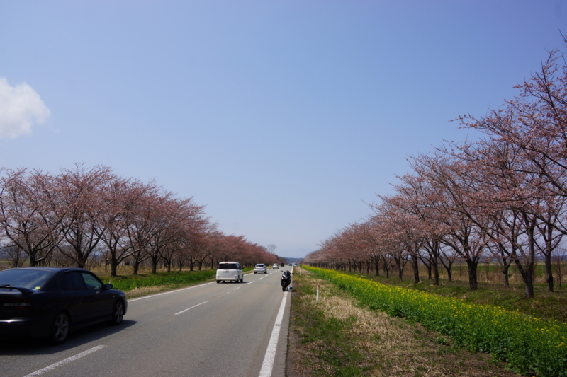 f:id:GSX-R1000:20130503212554j:image:w640