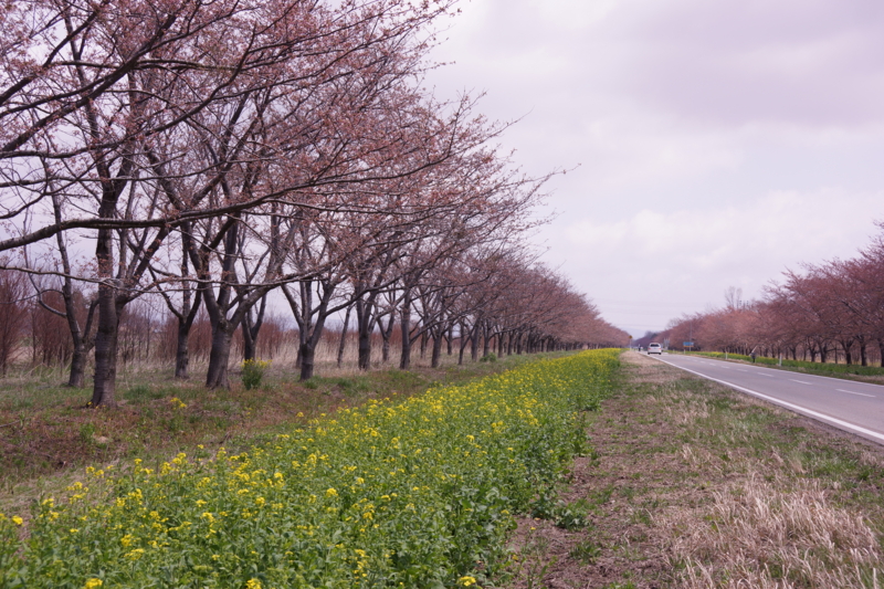 f:id:GSX-R1000:20130503212656j:image:w640