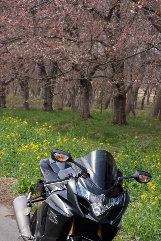 f:id:GSX-R1000:20130503212959j:image:w640