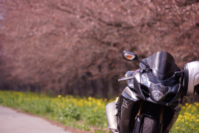 f:id:GSX-R1000:20130503213036j:image:w640