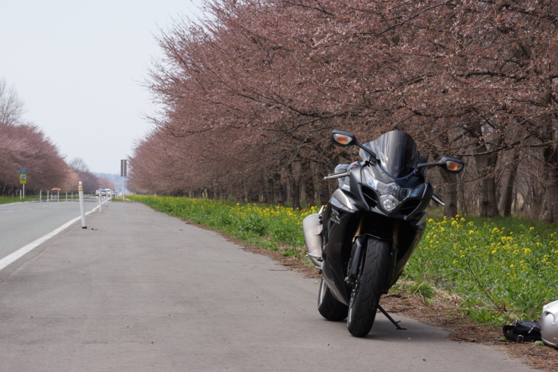 f:id:GSX-R1000:20130503213635j:image:w640