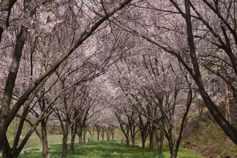 f:id:GSX-R1000:20130507213840j:image:w640