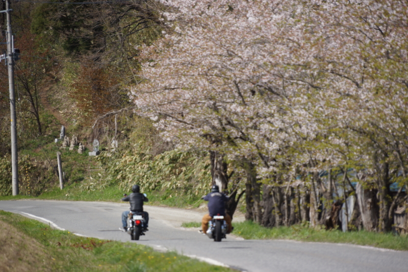 f:id:GSX-R1000:20130507215938j:image:w640