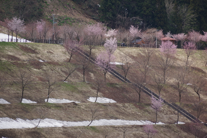 f:id:GSX-R1000:20130509071608j:image:w640