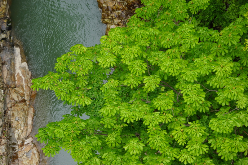 f:id:GSX-R1000:20130524081016j:image:w640