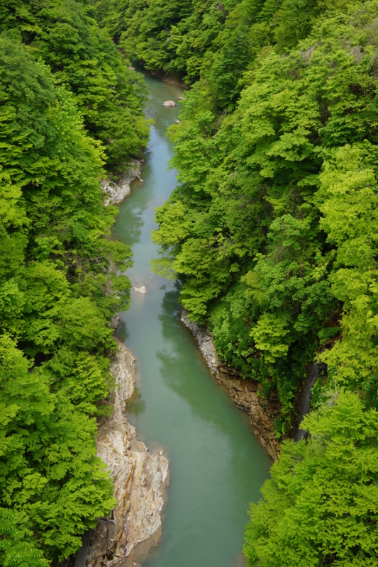 f:id:GSX-R1000:20130524081051j:image:w640