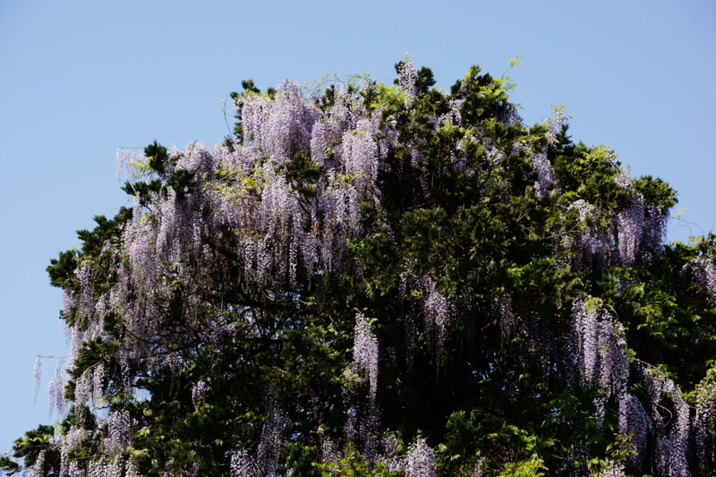 f:id:GSX-R1000:20130524192838j:image:w640